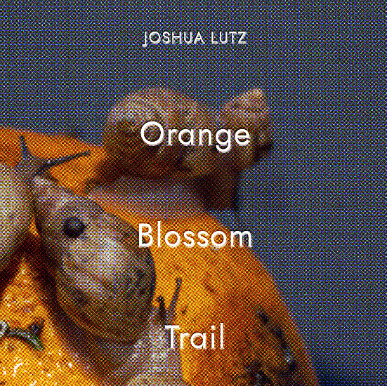 Orange Blossom Trail by Joshua Lutz