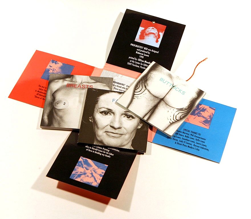 Rebecca Lown Senior Proj Plastic Surgery